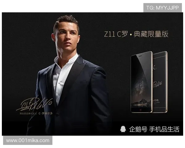 深度了解z6尊龙，解析品牌背后的故事与市场定位